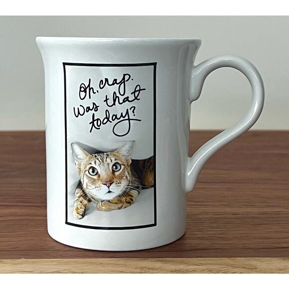 Hallmark Coffee Tea Novelty Mug Cup Cat Lover Office Oh Crap Was That Today?
